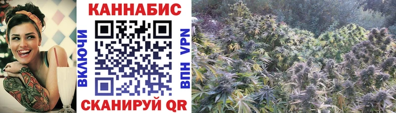 Конопля планчик  кракен ссылки  Осташков 